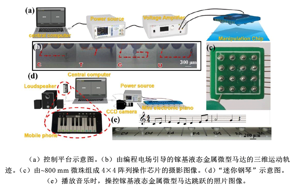高壓放大器實(shí)驗(yàn)平臺.png
