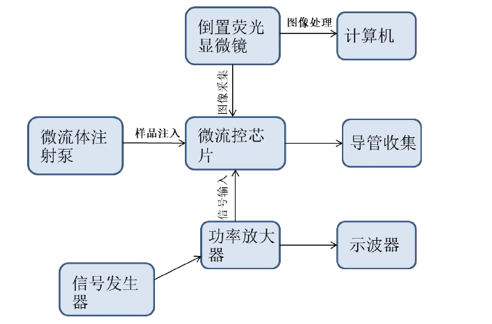 實驗框圖